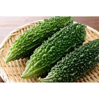 Hạt giống Mướp đắng (Khổ Qua) rừng thái lan