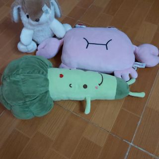 Gấu bông rẻ đẹp