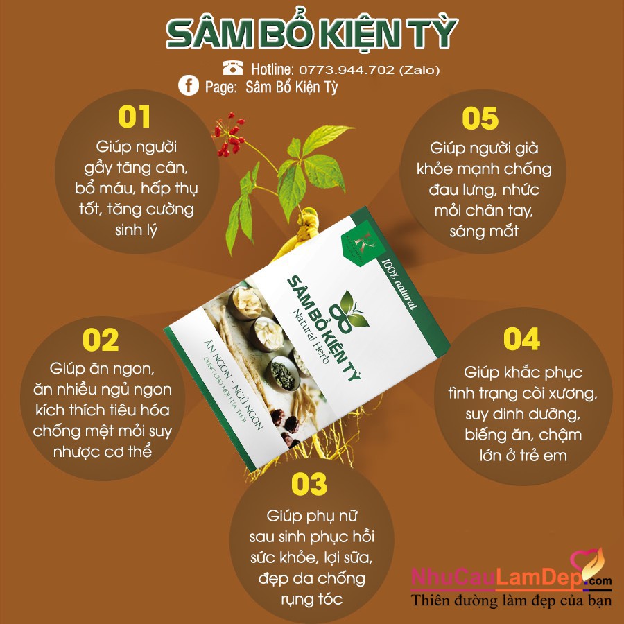 Sâm Bổ Kiện Tỳ - Hỗ trợ tăng cân an toàn, hiệu quả | BigBuy360 - bigbuy360.vn