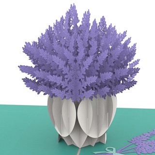 Thiệp 3D pop up Hoa Lavender