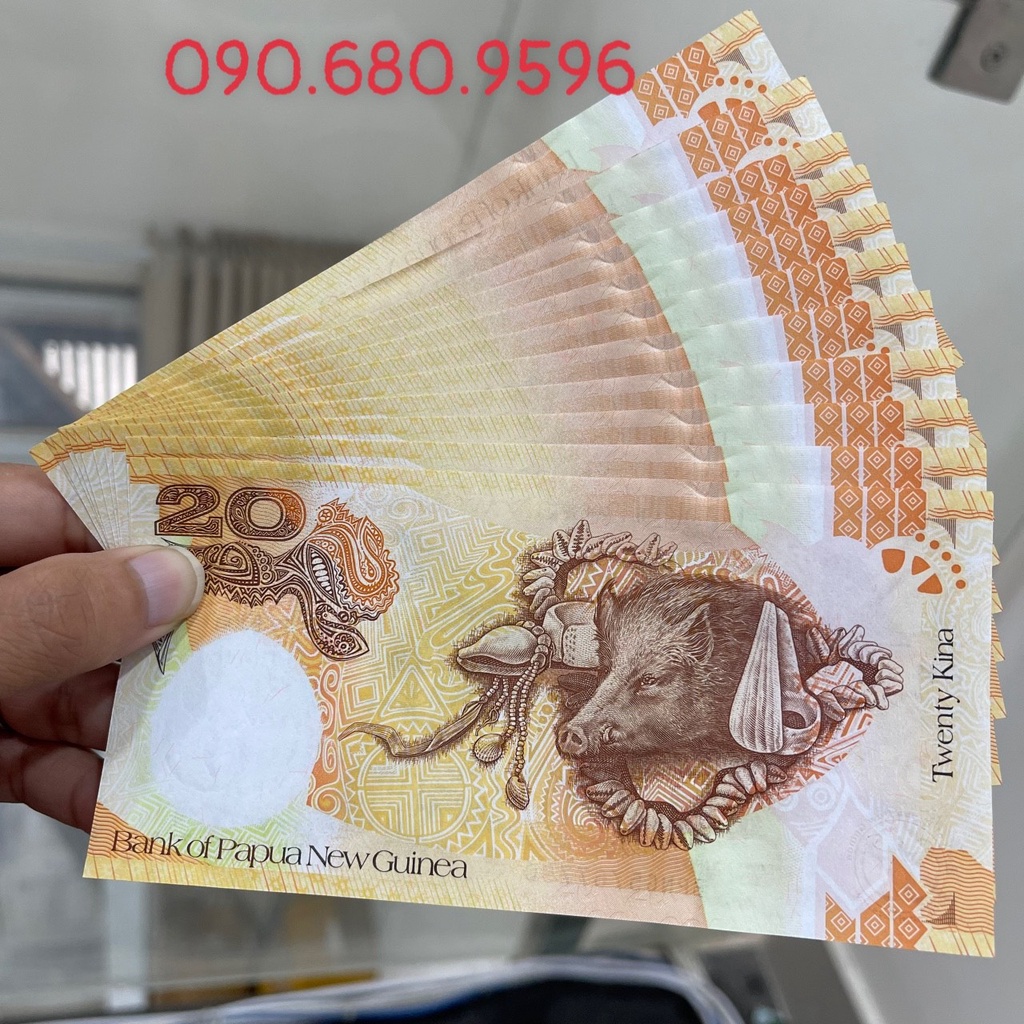 Combo 10 Tiền Kỉ Niệm In Hình Con Heo Của Papua New Guinea