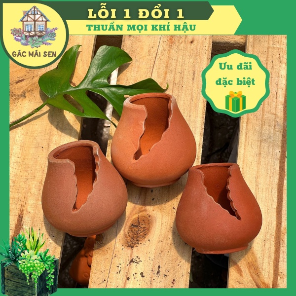 Chậu đất nung cắt - chậu đất nung sen đá Gác Mái Sen