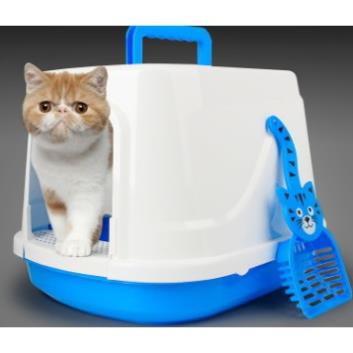[RẺ VÔ ĐỊCH] nhà vệ sinh cho mèo size lớn