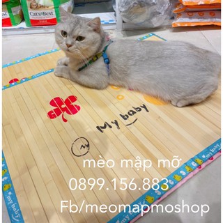 THẢM CHIẾU TRE LÀM MÁT CHO CHÓ MÈO