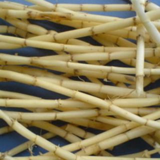 100g - 200g -300g rễ cỏ tranh