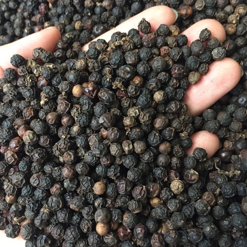 1kg Tiêu Đen Nguyên Hạt Đăklăk Nhà Trồng Tại Vườn đóng túi zip