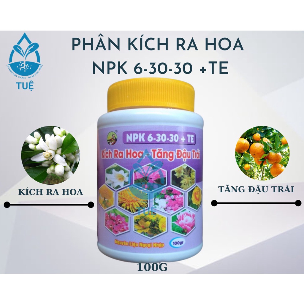 Combo phân hoa giấy chăm sóc + kích hoa