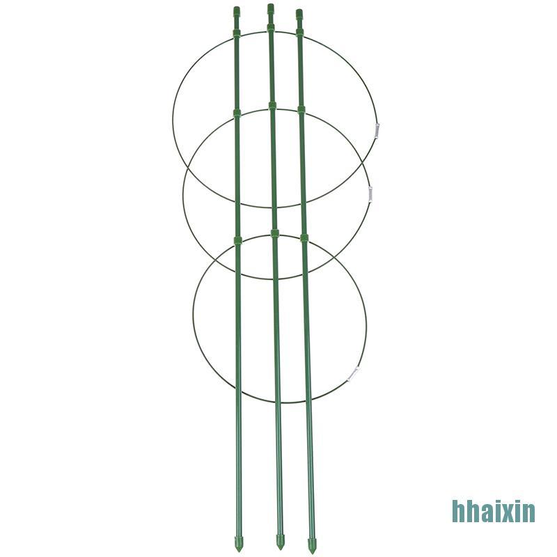 Khung giàn hỗ trợ trồng cây dây leo 60cm chuyên dụng