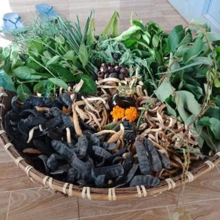Cao bồ kết FISHIP TU 99k