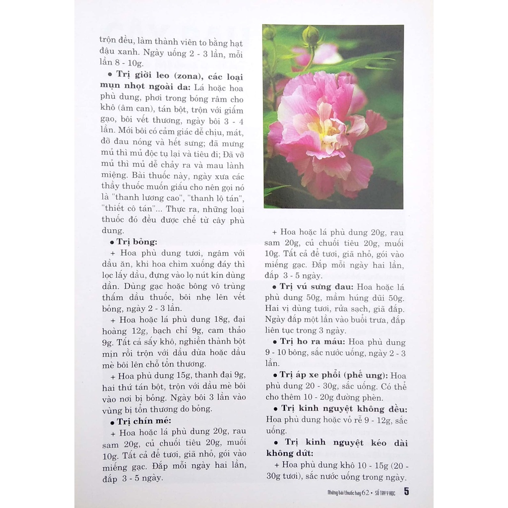 Sách Sổ Tay Y Học - Những Bài Thuốc Hay 62