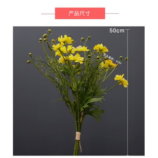 Bó hoa cánh bướm