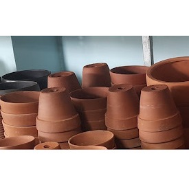 Chậu đất nung ly cho xương rồng, sen đá