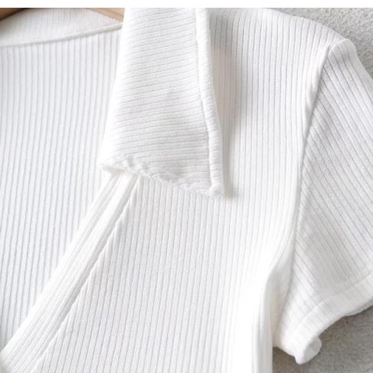 Áo polo Bodysuit Nữ CECY Thun Cotton, Áo Thun Polo Body Ôm Sát Quyến Rũ, áo cổ V, áo cổ bẻ, áo liền thân B013 | BigBuy360 - bigbuy360.vn