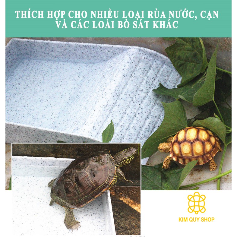 MÁNG TẮM CHO BÒ SÁT.