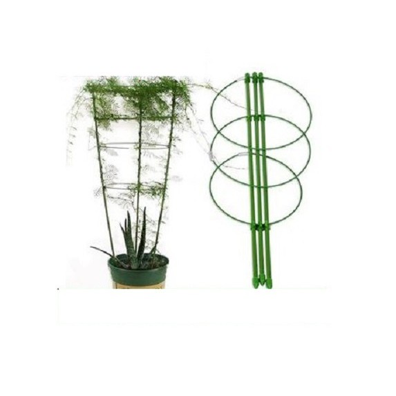 ( HOT ) Giá đỡ hoa hồng, cây leo, cà chua cao 75cm, 90 cm