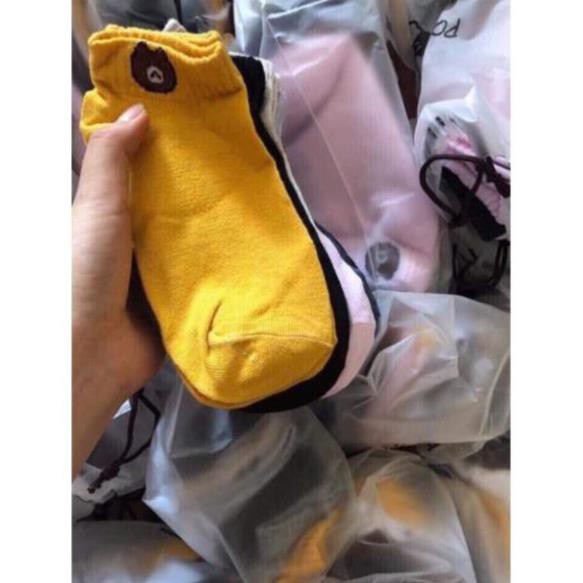 COMBO 10 Đôi Tất Gấu Cổ Ngắn (kèm túi gấu)