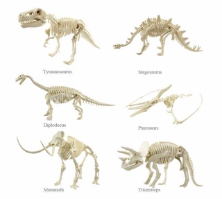 XƯƠNG KHỦNG LONG HOÁ THẠCH - DIG A DINOSAUR SKELETON