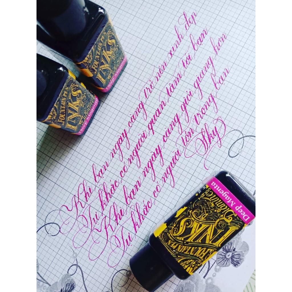 Mực bút máy Diamine 30ml