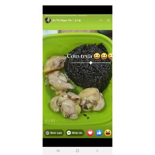 GẠO LỨT ĐEN PHÚC THỌ( sản phẩm của công ty cổ phần tập đoàn giống cây trồng Việt Nam)