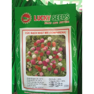 Hạt giống cúc bách nhật mix 100 hạt
