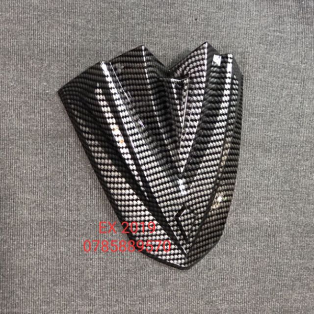 MÃO CARBON XE EXCITER 2019