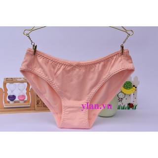 Combo 10 quần lót nữ cotton Việt Nam chất đẹp giá rẻ