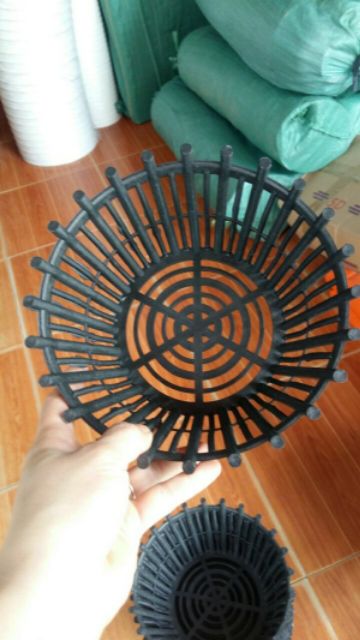 Chậu trồng lan rộng 20cm