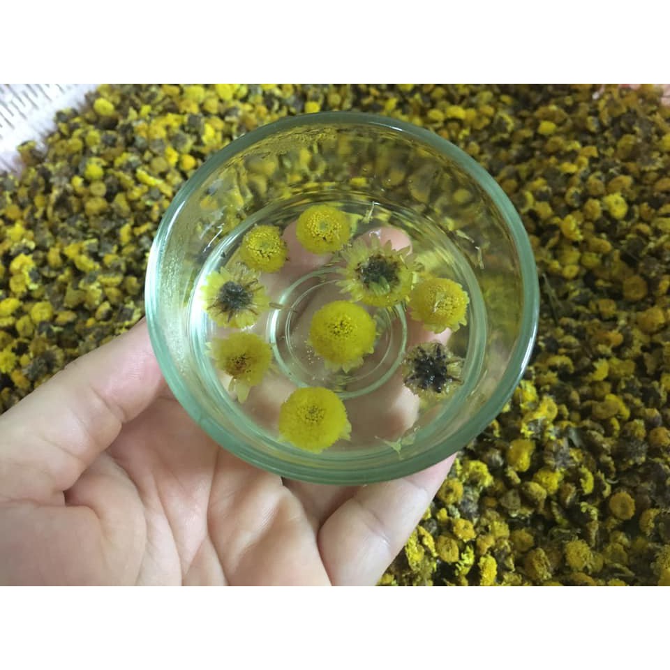 Set Trà Hoa Cúc Chi - Trà Hoa Cúc Táo Đỏ Long Nhãn Kỳ Tử | BigBuy360 - bigbuy360.vn