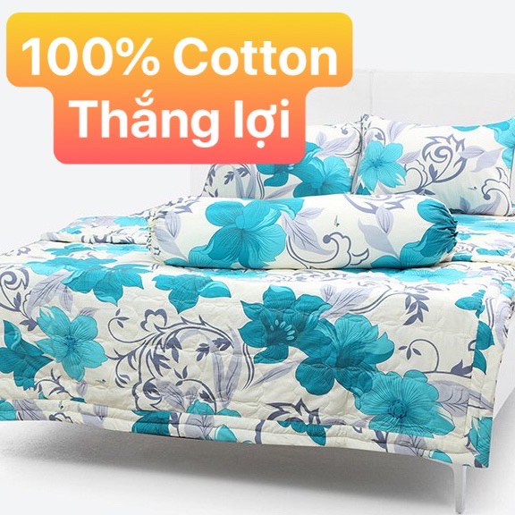 Bộ Drap Cotton Thắng Lợi Kèm Mền Chần Gòn 5 món { CHUẨN LOGO}