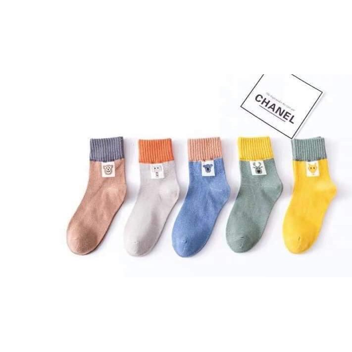 SÉT TẤT CAO CỔ 5 ĐÔI