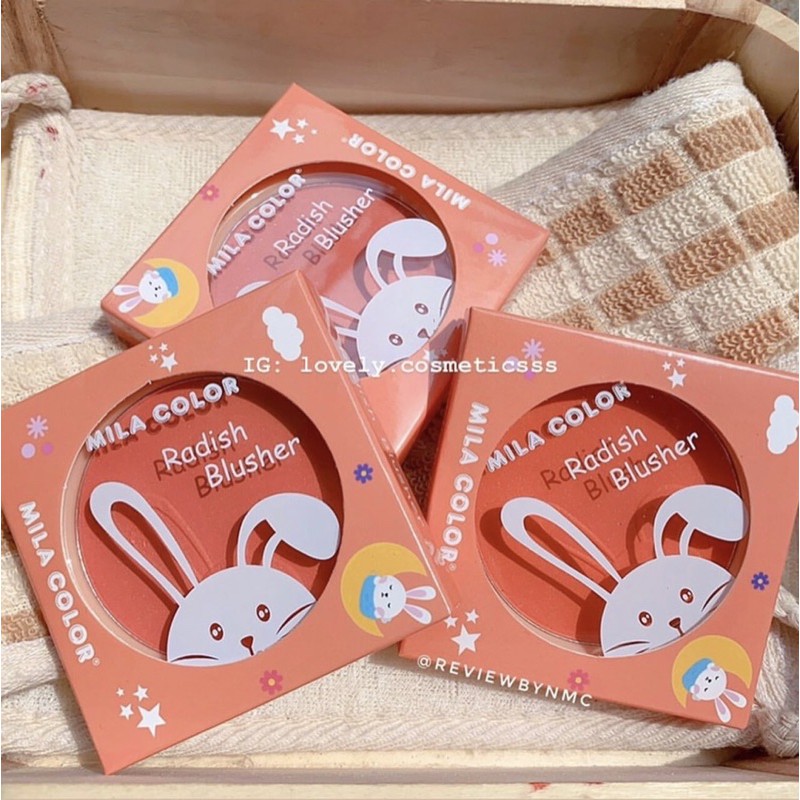 Phấn Má Hồng Anylady Đơn Sắc Mã 789B | BigBuy360 - bigbuy360.vn