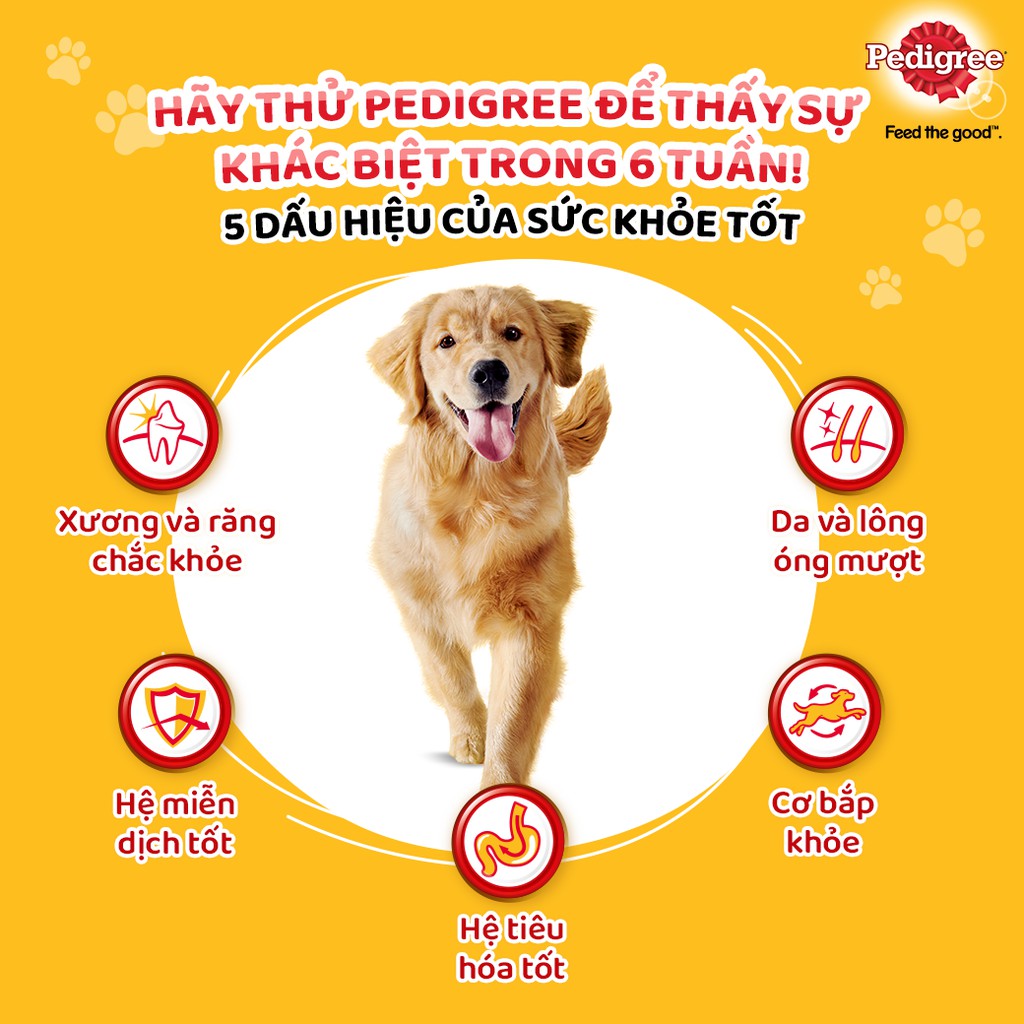 hạt Pedigree Chó trưởng thành trên 10 tháng tuổi vị bò rau củ