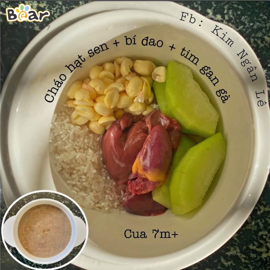 Nồi Nấu Cháo Cho Bé,  Nồi Bear Nấu Cháo Chậm Cho Bé 0,8L  Bảo Hàng 18 Tháng Bản Quốc Tế