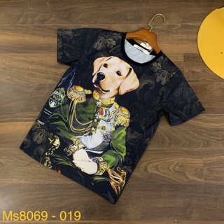 Áo phông Dolce chó hoàng gia cực sang - Ảnh thật 100%