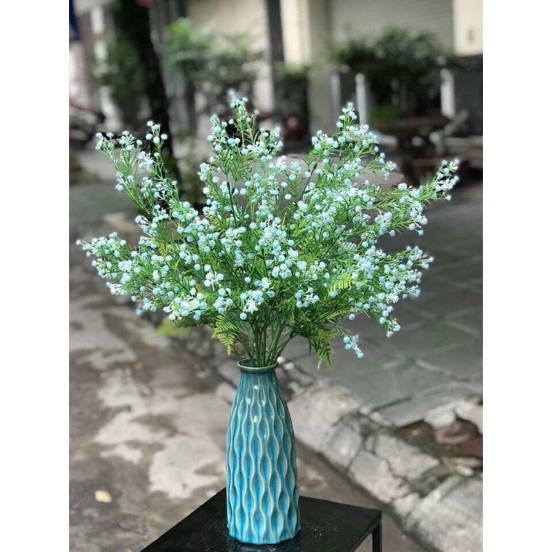 Điểm bi cành cao