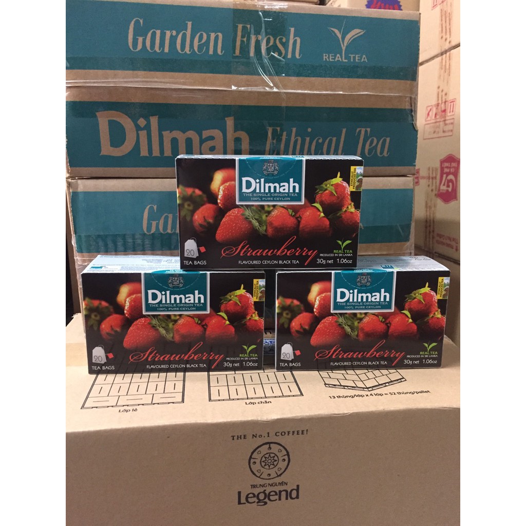 Trà Dilmah hương Dâu , Đào ,Bạc hà | BigBuy360 - bigbuy360.vn