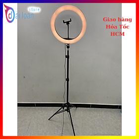 Bộ chân đế tripod có đèn led 33cm 3 chế độ sáng - Hỗ trợ livestream, quay video, quay tiktok hiệu quả - Hàng chính hãng