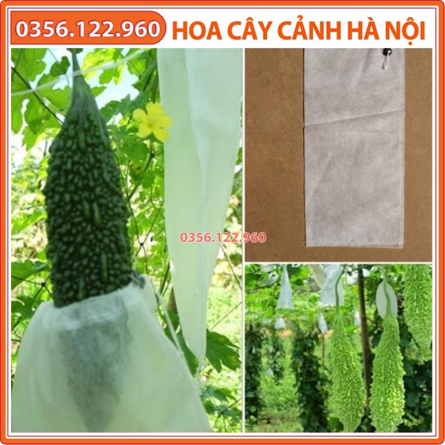 100 Túi Bọc Quả Mướp-Bầu-Bí 15x50cm