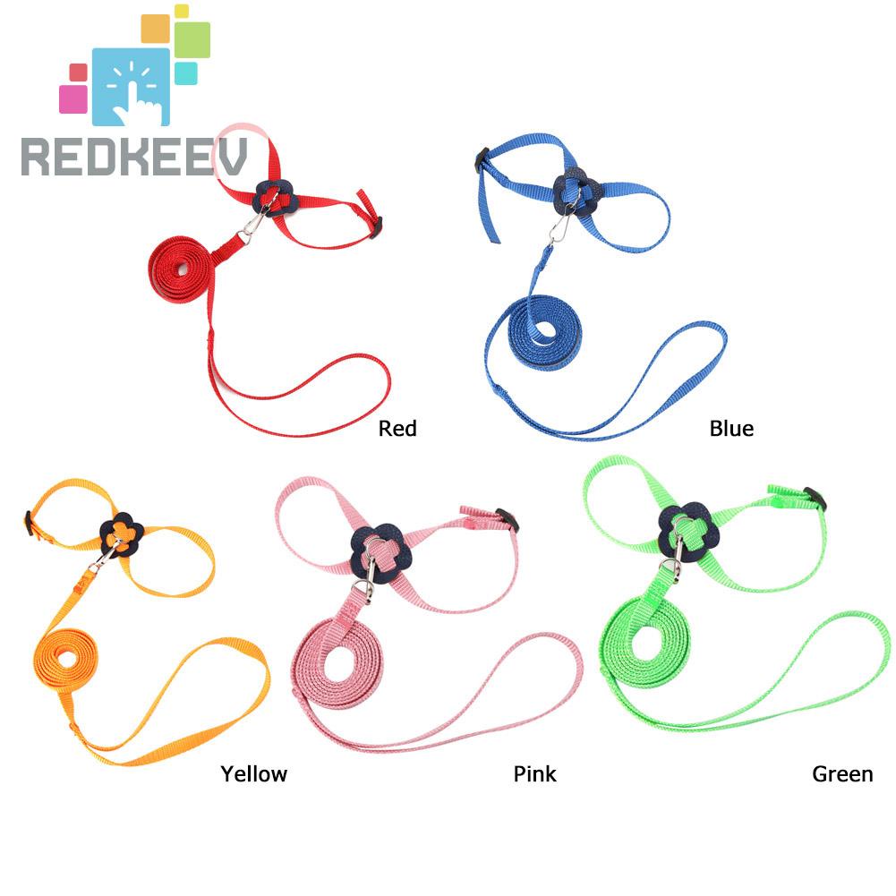 Dây Xích Huấn Luyện Vẹt Có Thể Điều Chỉnh Chống Bay