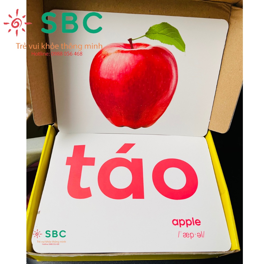 Có File nghe- Thẻ học thông minh TGXQ size A5 15x21cm 100 thẻ 15 chủ đề ivory 400 flashcard