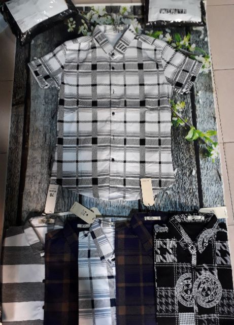 Áo sơ mi ngắn tay