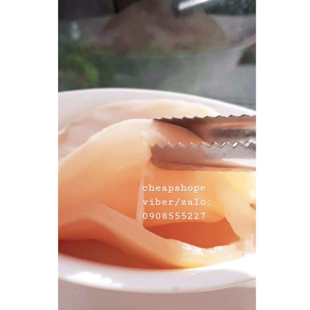 COMBO SCOBY KOMBUCHA+10 BAO LÌ XÌ 2025