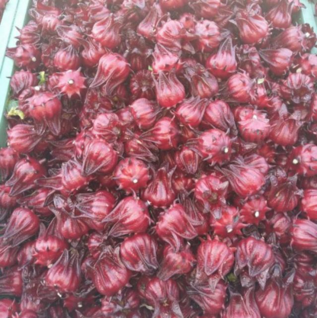 Siro hoa atiso đỏ Handmade 1kg