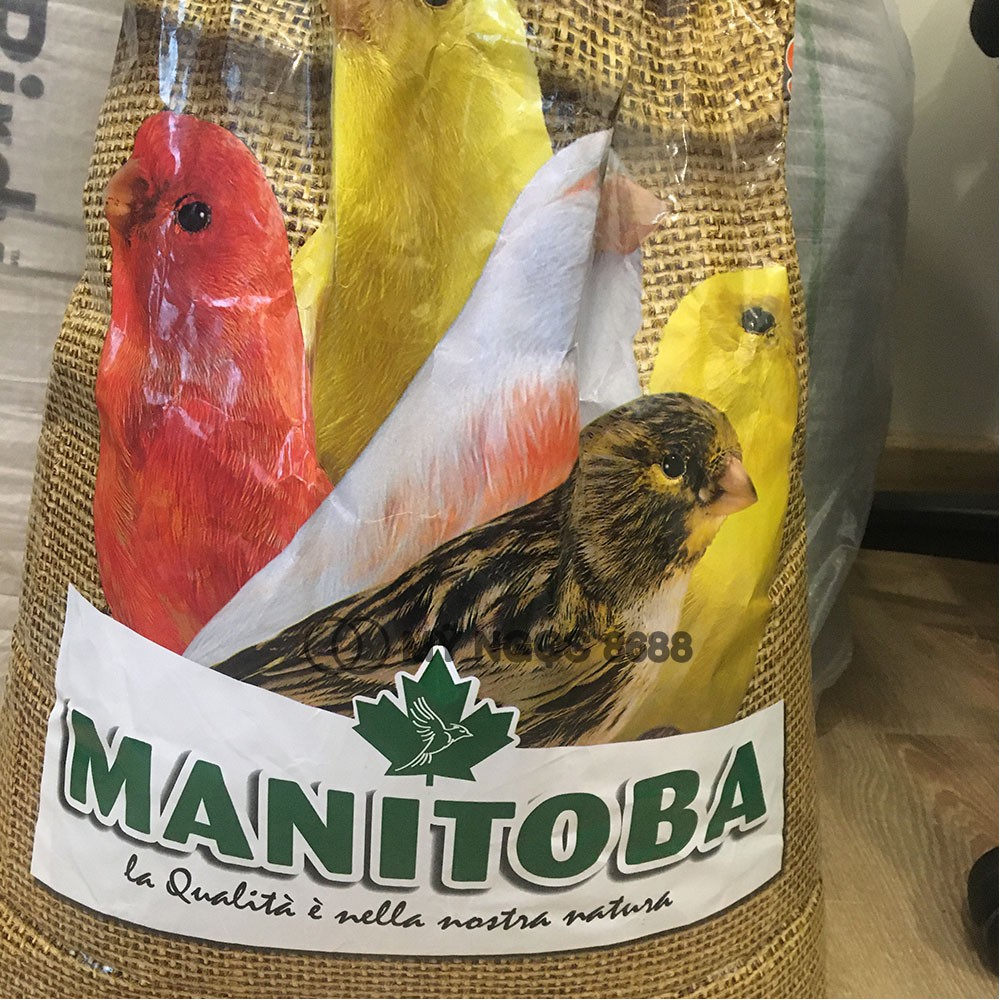 Hạt mix/trộn Manitoba canarini cho chim vẹt, manh manh, sẻ, sắc nhật, yến hót, bạc má bao gồm láng, hạt lanh, hạt cải