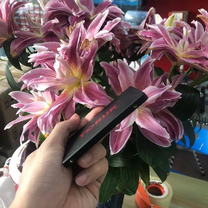 Ổ Cứng SSD TORUK Dung Lượng 120GB Chip 3D Flash Chính Hãng Bảo Hành 36 Tháng | BigBuy360 - bigbuy360.vn
