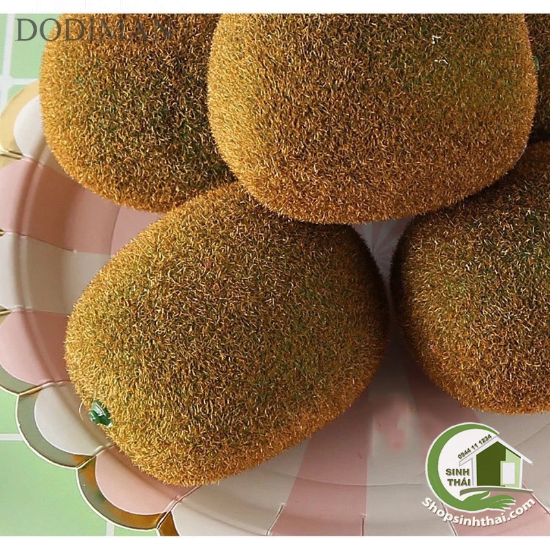 Trái kiwi giả - trái cây giả cao cấp