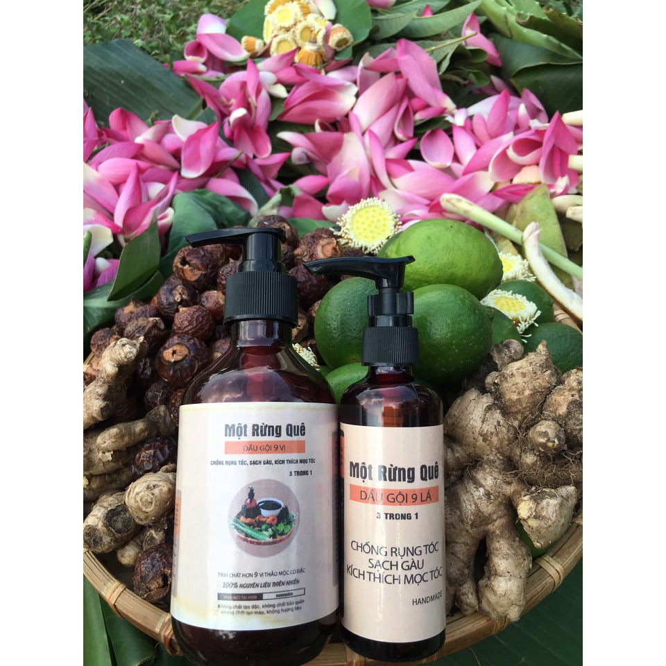 Dầu Gội Sạch Gàu Handmade🌺 9 Loại Thảo Mộc 🌹Quà Tặng 45K- Hỗ Trợ Sạch Gàu, Phục Hồi, Kích Thích Mọc Tóc, Ngăn Nấm Da Đầu | BigBuy360 - bigbuy360.vn