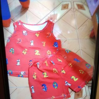 Gấu bông của cam tu
