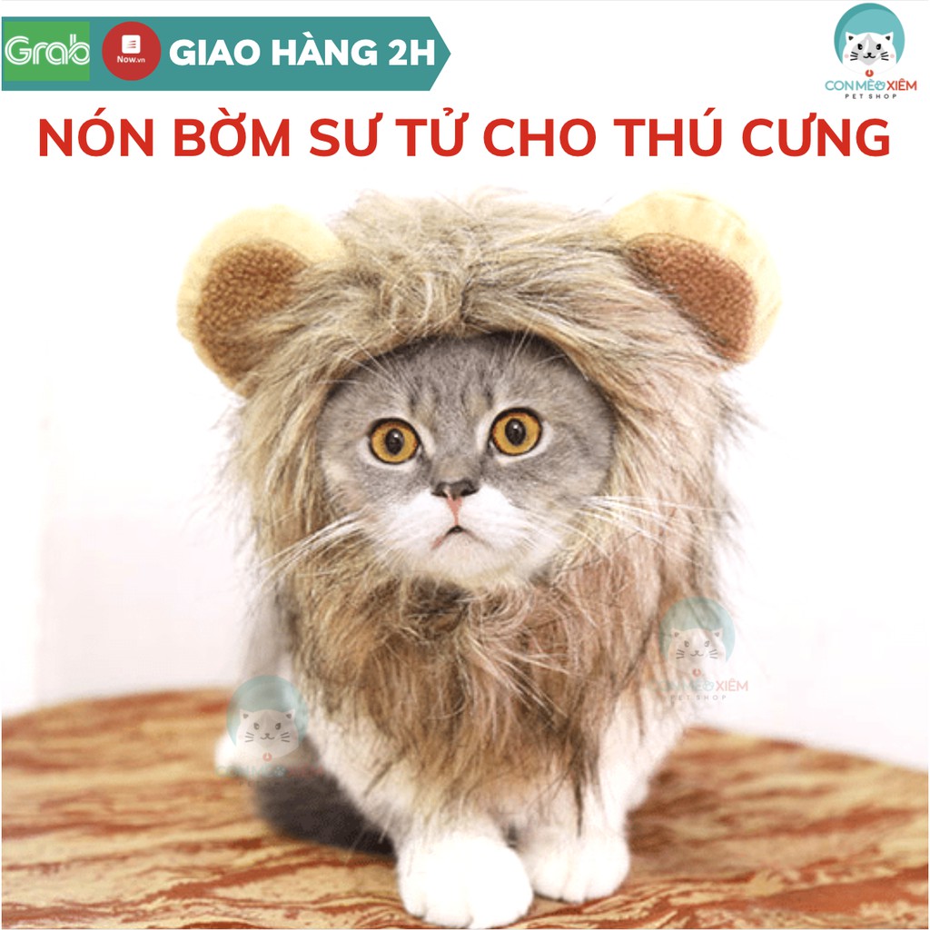 Nón cho chó mèo bờm sư tử cosplay, mũ đội thời trang cho thú cưng Con Mèo Xiêm