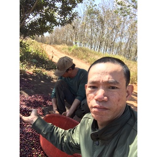Cà Phê bột